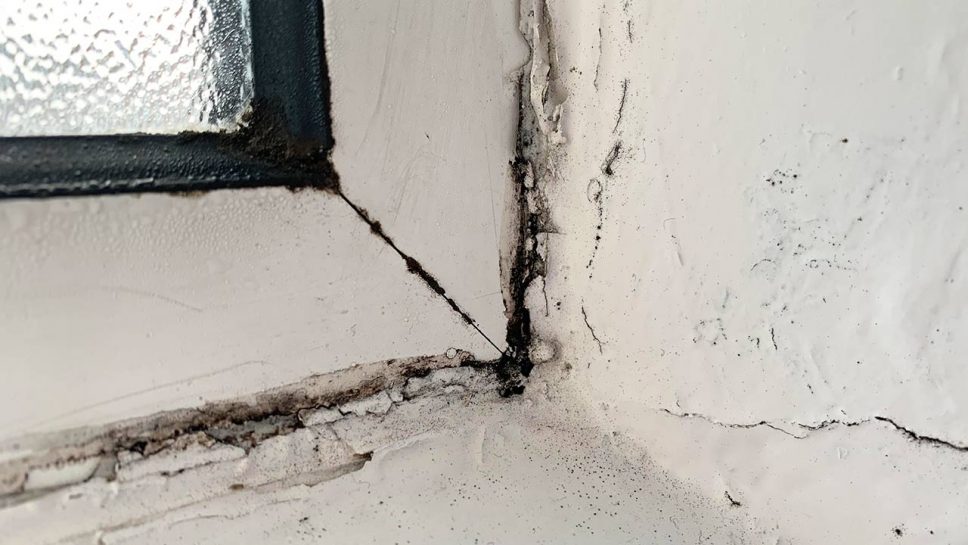 Top Tips To Stop Mould Around Windows Abelglass